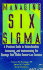Managing Six Sigma a Practical Guide to Understanding, Assessing, and Implementing the Strategy That Yields Bottom-Line Success