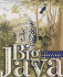 Big Java