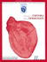 Learning Guide to Accompany Principles of Anatomy and Physiology, 11th Edition