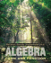 Algebra: Form and Function