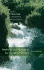 Methods and Reagents for Green Chemistry: An Introduction