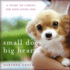 Small Dogs, Big Hearts: a Guide to Caring for Your Little Dog, Revised Edition