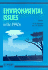 Environmental Issues in the 1990s