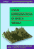 Visual Representations of Speech Signals
