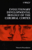 Evolutionary Developmental Biology of the Cerebral Cortex (Novartis Foundation Symposia)