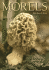 Morels