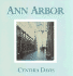 Ann Arbor: Hand-Altered Polaroid Photographs