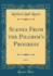 Scenes From the Pilgrim's Progress, Vol 1 Classic Reprint