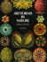 Art Forms in Nature Format: Paperback
