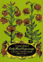 Early Floral Engravings: All 110 Plates From the 1612 "Florilegium"