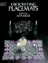 Crocheting Placemats (Needlework Series)