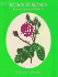Redout� Roses Iron-on Transfer Patterns