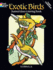Exotic Birds Stained Glass Coloring Book (Dover Nature Stained Glass Coloring Book)