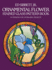Ornamental Flower Stained Glass Pattern Book (Dover Stained Glass Instruction)