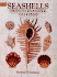 Seashells Iron-on Transfer Patterns
