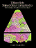 Tiffany-Style Stained Glass Lampshades: With Full-Size Templates for 11 Designs (Dover Stained Glass Instruction)