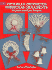 Victorian Crocheted Christmas Ornaments: 33 Quick-and-Easy Projects (Dover Needlework)