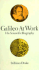 Galileo at Work: His Scientific Biography