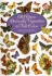 Old-Time Butterfly Vignettes (Dover Pictorial Archives)