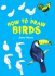How to Draw Birds