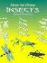 How to Draw Insects