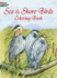 Sea and Shore Birds Coloring Book Format: Paperback