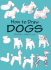 How to Draw Dogs