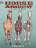 Horse Anatomy Format: Paperback