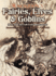 Rackham's Fairies, Elves and Goblins: More Than 80 Full-Color Illustrations (Dover Fine Art, History of Art)