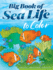 Big Book of Sea Life to Color (Dover Sea Life Coloring Books)