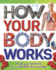 How Your Body Works: the Ultimate Illustrated Guide