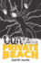 Private Beach (Dover Graphic Novels)