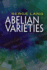 Abelianvarieties Format: Tradepaperback