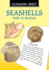 Learning About Seashells Format: Pb-Trade Paperback