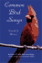 Common Bird Songs