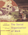The Social Organization of Work, International Edition