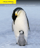 Cengage Advantage Books: Sustaining the Earth