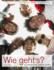 Wie Geht's? : an Introductory German Course