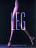 Leg-Donna Karan