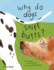 Why Do Dogs Sniff Butts? : Curious Questions About Your Favorite Pets