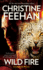 Wild Fire (a Leopard Novel)