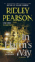 In Harm's Way (Walt Fleming, 4)