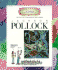 Jackson Pollock (Getting to Know the World's Greatest Artists)