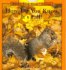 How Do You Know It's Fall? (Rookie Read-About Science)