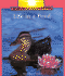 Life in a Pond (Rookie Read-About Science)