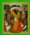 Brazil (True Books: Geography: Countries)