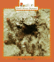 Inside an Ant Colony (Rookie Read-About Science)