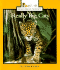 Really Big Cats (Rookie Read-About Science)