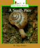 A Snail's Pace (Rookie Read-About Science)