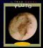 Pluto (True Books: Space)